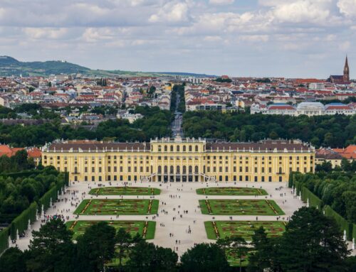 Call for papers for our open panel @EuARe2025! (deadline April 4, 2025)